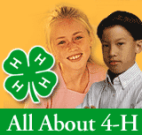 All About 4-H