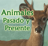 Animales - Pasado y Presente
