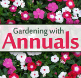 Gardening with Annuals