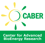 Center for Advanced BioEnergy Research