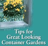 Container Gardening