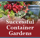 Successful Container Gardens
