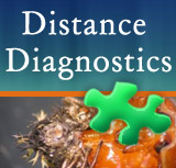 Distance Diagnostics