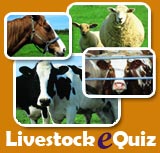 Livestock E-Quiz