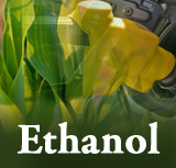 Ethanol
