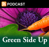 Green Side Up Podcast