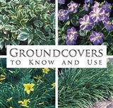 Groundcovers to Know and Use