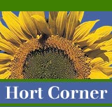 Hort Corner