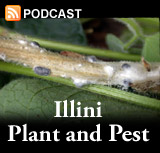 Illini Plant and Pest Podcast