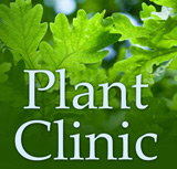 Let us help with your plant problems. We do plant and insect identification, diagnosis of disease, insect, weed and chemical injury (chemical injury on field crops only), nematode assays, and help with nutrient related problems, as well as recommendations involving these diagnoses. 