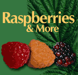 Learn about varieties & selection, how to plant, and where to find nurseries and U-pick farms.