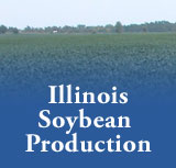 Illinois Soybean Production