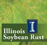 Soybean Rust (Illinois)