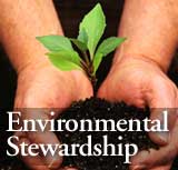 Environmental Stewardship