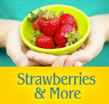 Strawberries & More