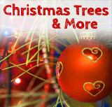 Christmas Trees & More