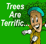 Trees Are Terrific