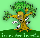 Trees Are Terrific