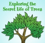 Secret Life of Trees