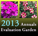 Annuals Evaluation Garden