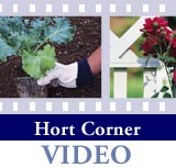 Hort Corner Video