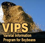 Varietal Information Program for Soybeans