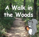 Walk in the Woods
