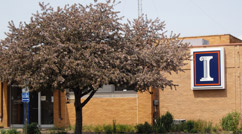 Photo of Milan Office