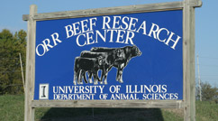 Photo of Baylis Office