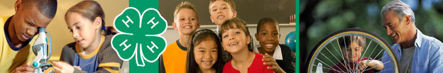 Tazewell County 4-H Newsletter
