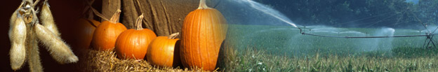Local Foods/Small Farms Newsletter