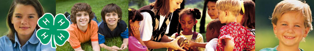 Cumberland County 4-H Newsletter