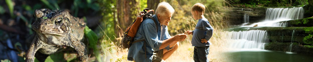 Master Naturalists