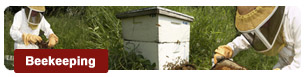 Beekeeping