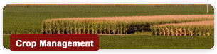 Crop Management