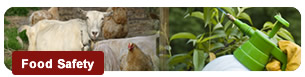 Food Safety