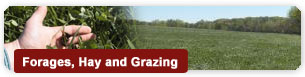 Forages, Hay and Grazing