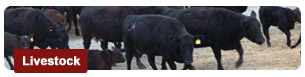 Livestock