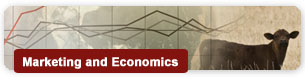 Marketing and Economics