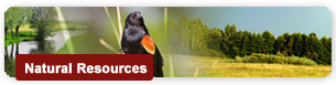 Natural Resources