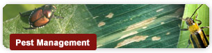 Pest Management