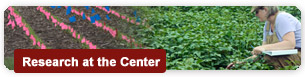Research at the Center