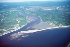 delta