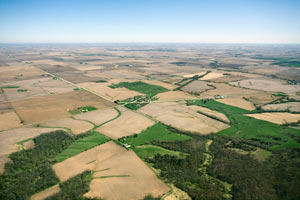gently rolling landscape in Illinois