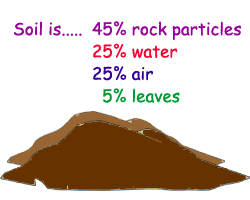 Great Plant Escape - Four Major Components of Soil