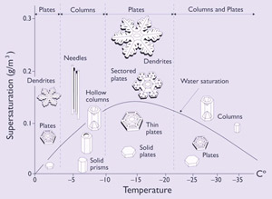  An illustration showing the type of snow that forms at different temperatures and supersaturation.