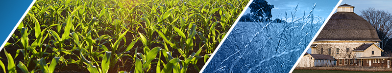 Illinois Crop Management Conferences