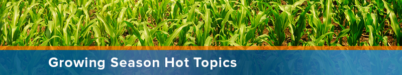 Growing Season Hot Topics