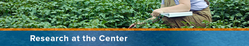 Research at the Center
