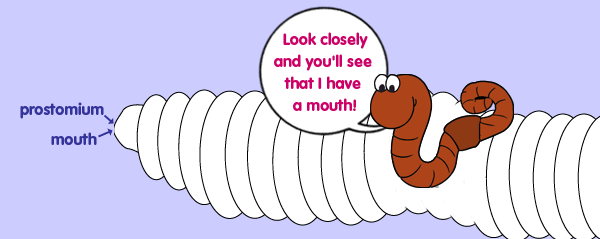 My Mouth, The Adventures of Herman the Worm
